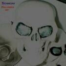 Click to see the Halloween Music 2001 CD album